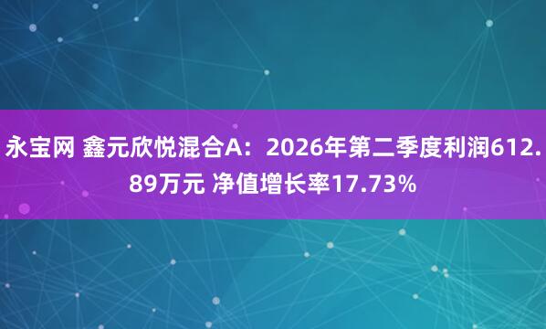 永宝网 鑫元欣悦混合A：2026年第二季度利润612.89万元 净值增长率17.73%